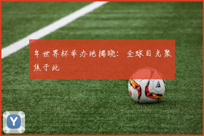 年世界杯举办地揭晓：全球目光聚焦于此