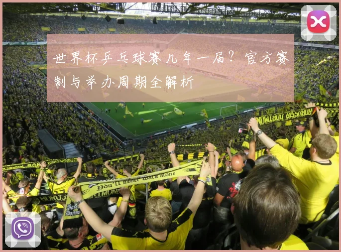 世界杯乒乓球赛几年一届？官方赛制与举办周期全解析